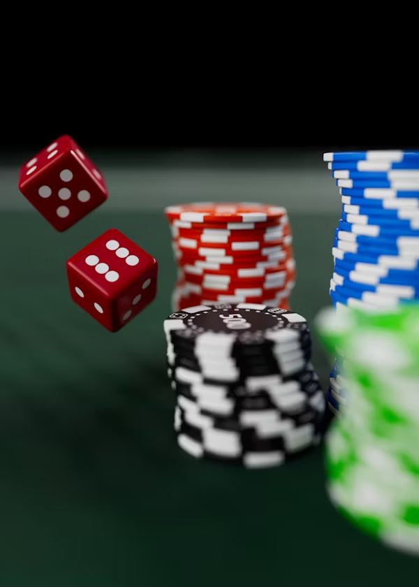 bajicasino